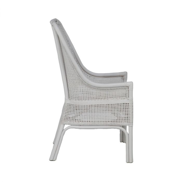 ALBANY CHAIR