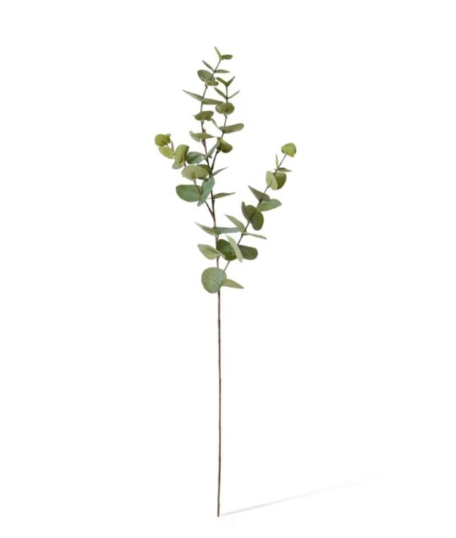 EUCALYPTUS DOLLAR SPRAY