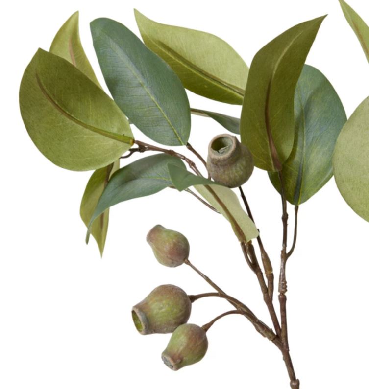 EUCALYPTUS GUM NUT SPRAY