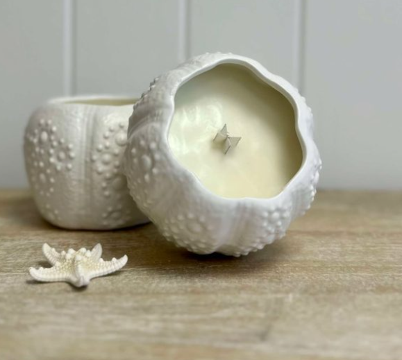 URCHIN MINI PLANTER CANDLE- SEA SALT + DRIFTWOOD