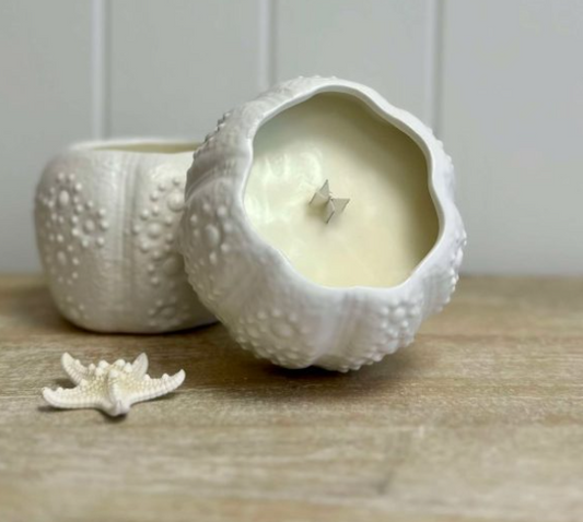 URCHIN MINI PLANTER CANDLE- SEA SALT + DRIFTWOOD