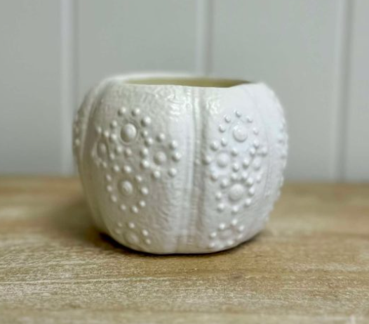 URCHIN MINI PLANTER CANDLE- SEA SALT + DRIFTWOOD