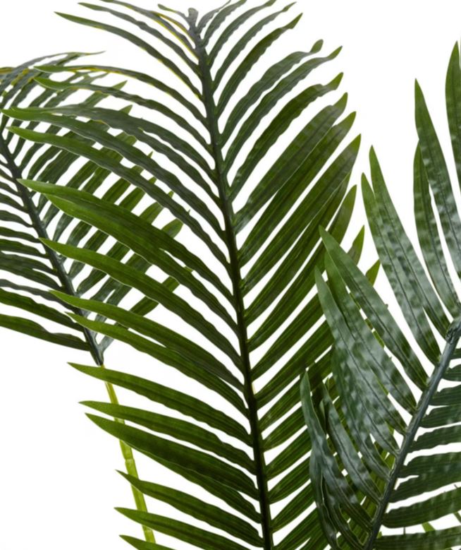 PALM ARECA LARGE