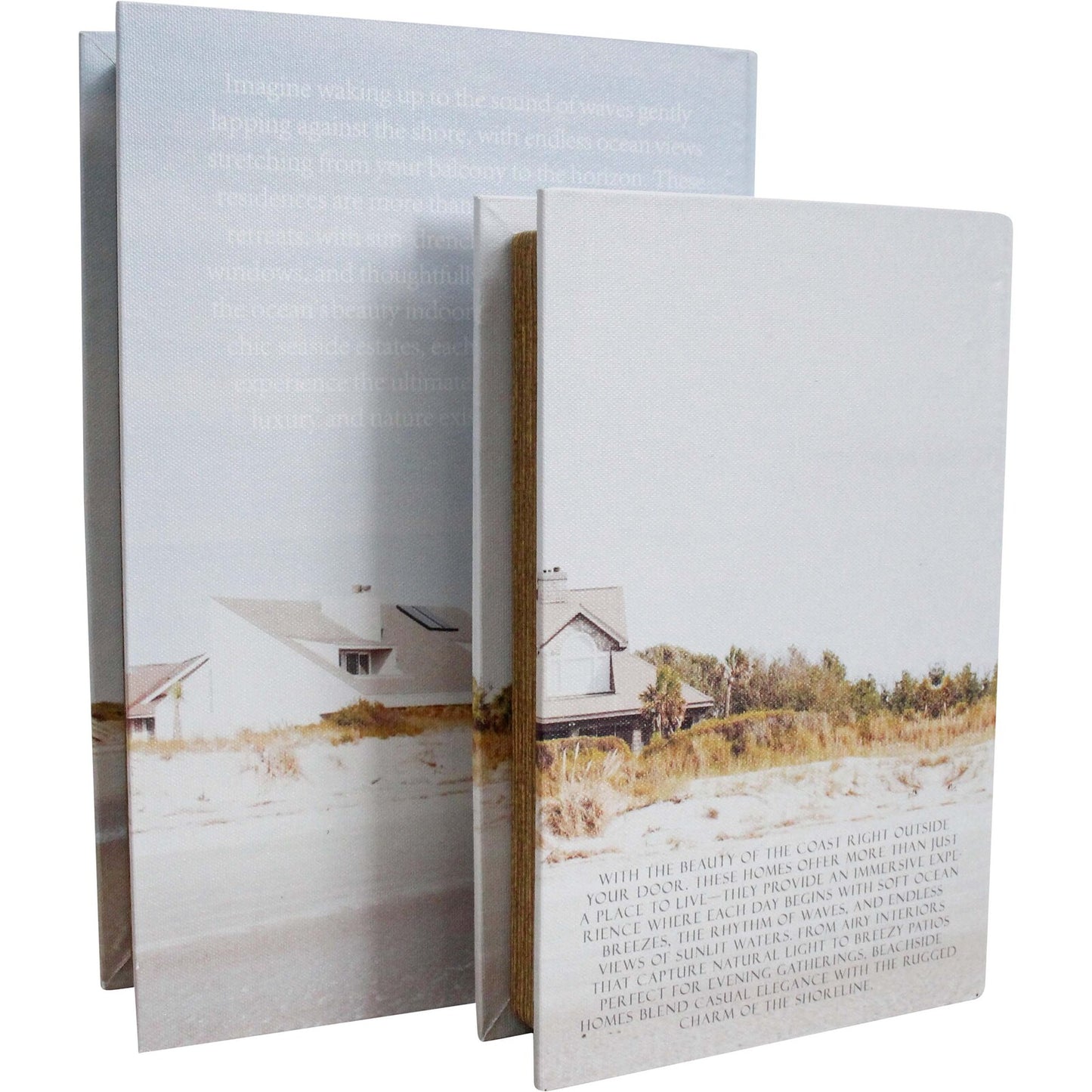 BOOK BOX SET/2 LUXURY HOMES