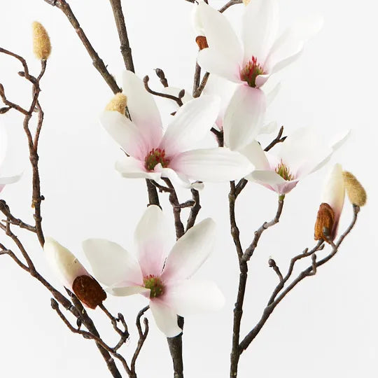 MAGNOLIA TREE SPRAY