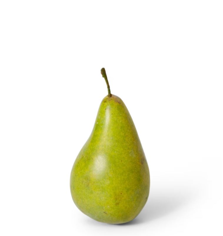 DECORATIVE PEAR BARTLET