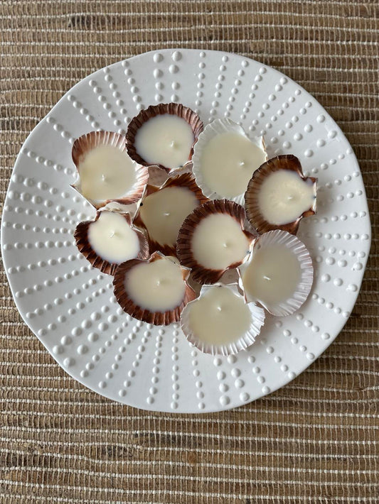 NATURAL SCALLOP SHELL CANDLE- COCONUT + LEMONGRASS