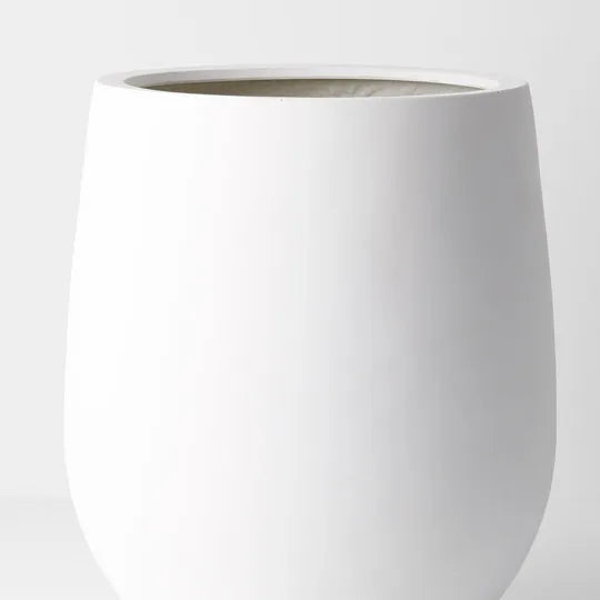 POT SPROUT