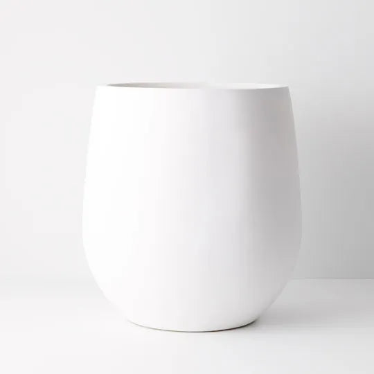 POT SPROUT
