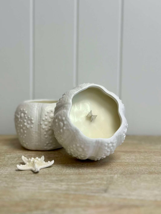URCHIN MINI PLANTER CANDLE- WHITSUNDAY COAST