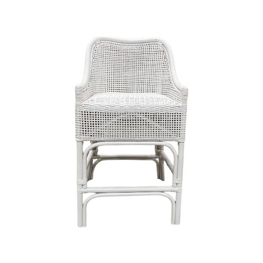 ALBANY COUNTER STOOL