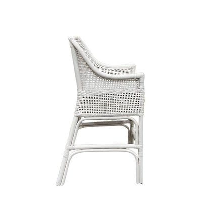 ALBANY COUNTER STOOL