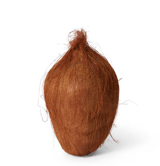 DECORATIVE COCONUT