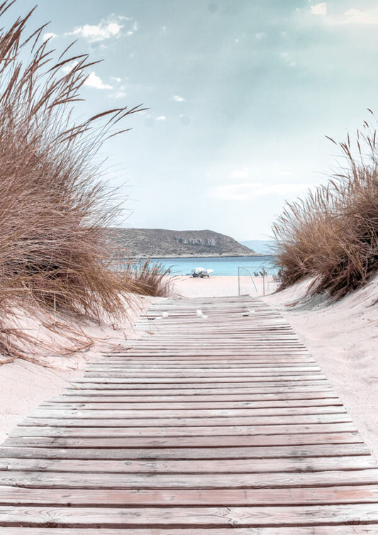 PARADISE PATH