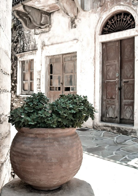 STONE ALLEY