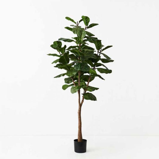 FIDDLE LEAF TREE