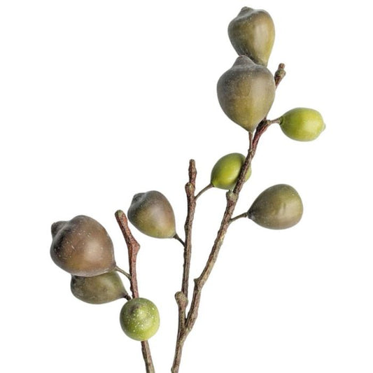 FIG SPRAY