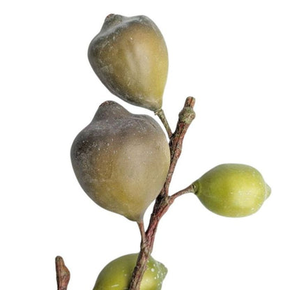 FIG SPRAY