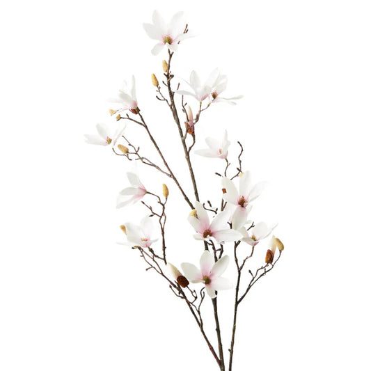 MAGNOLIA TREE SPRAY