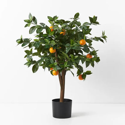ORANGE TREE