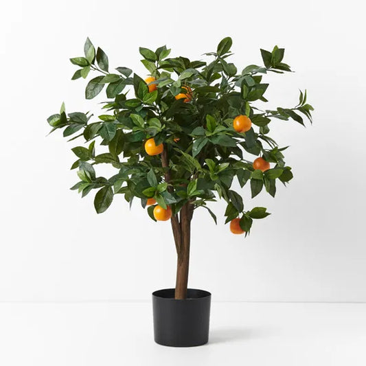 ORANGE TREE