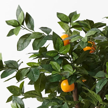 ORANGE TREE